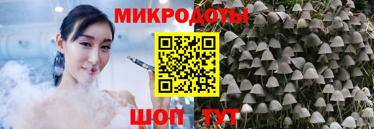 Тихвин  Псилоцибиновые грибы Psilocybe  дарнет шоп  Вход с VPN 